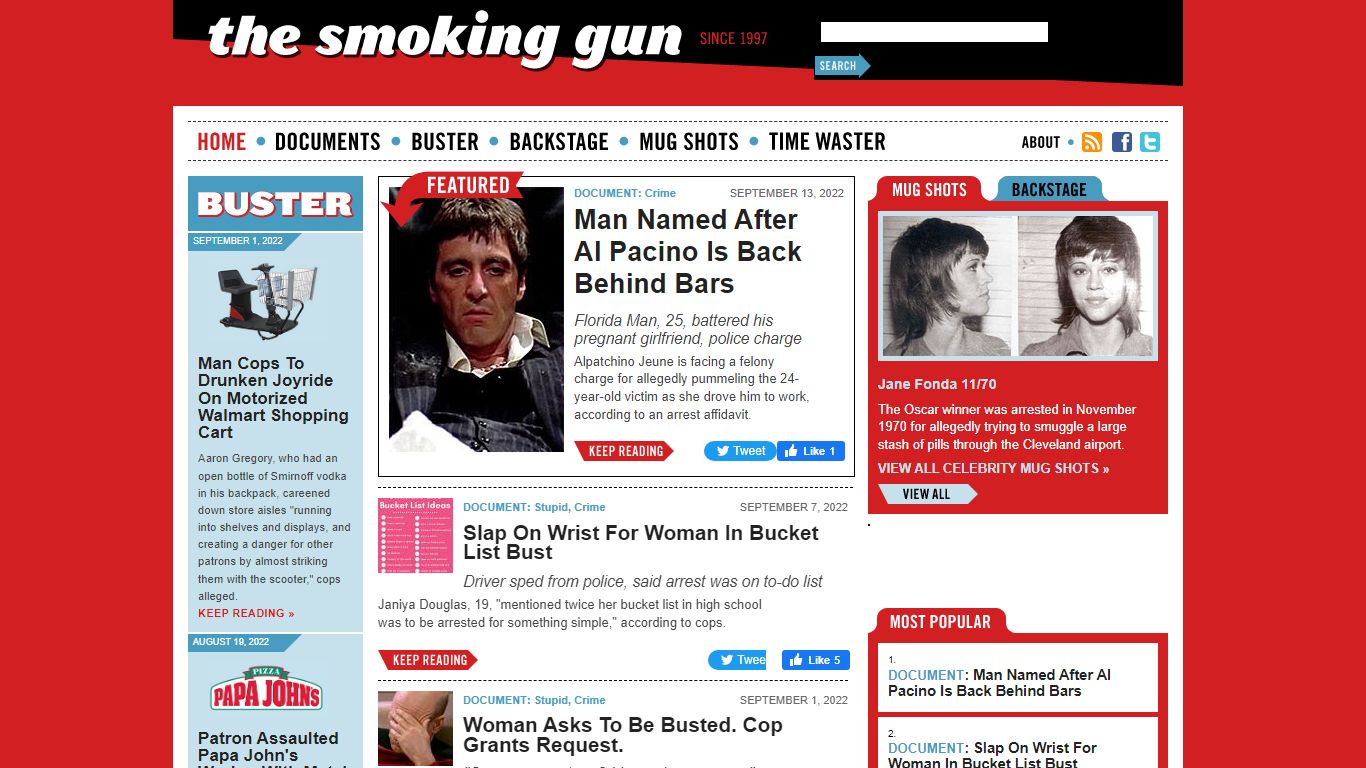 The Smoking Gun: Public Documents, Mug Shots